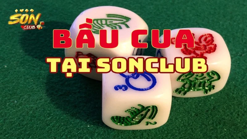 ly do anh em khong nen bo lo bau cua online
