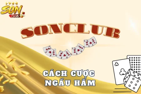 Cách cược ngầu hầm chuẩn xác làm giàu không khó